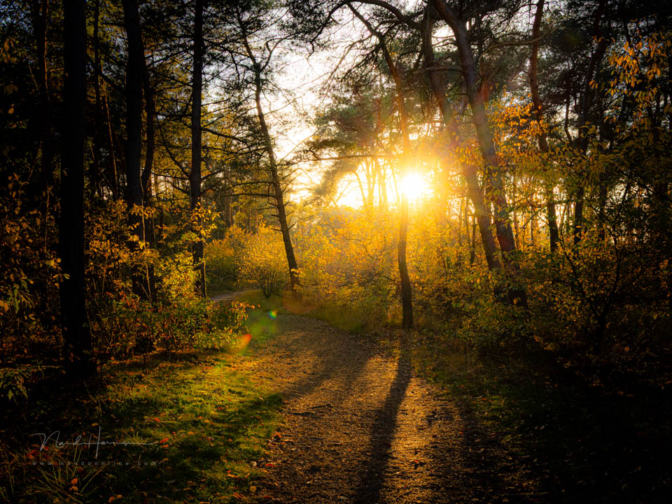 Nando 2025 orton effect zonsondergang