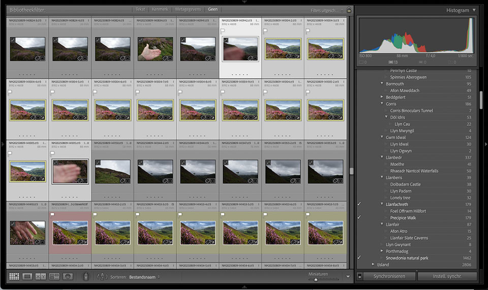 Nando 2025 snowdonia focusstacking