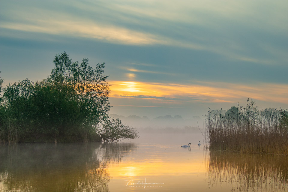 Nando EOS M50 II zonsopkomst met mist