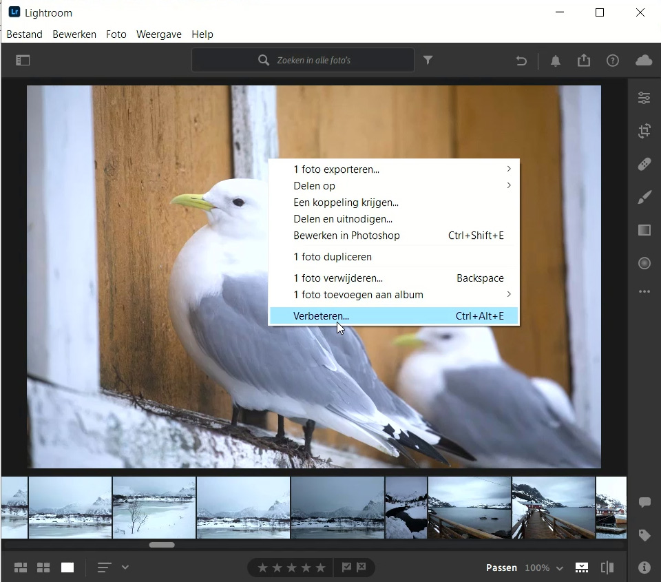 Lightroom superresolutie Lightroom superresolutie