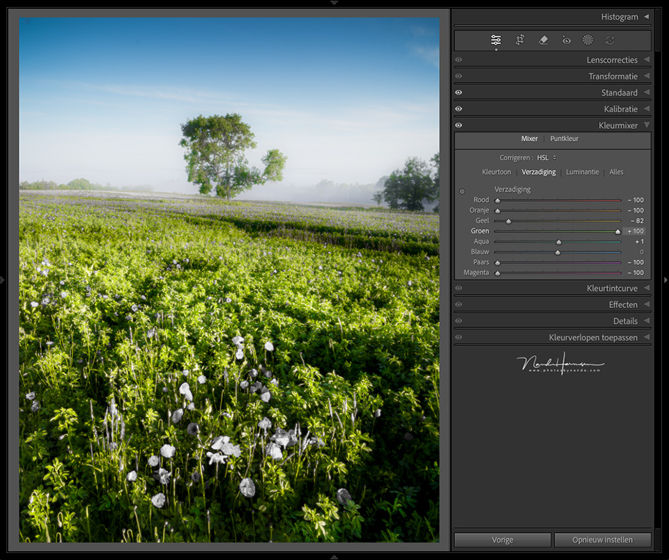 Nando LrC alleen blauw en groen Nando LrC alleen blauw en groen
