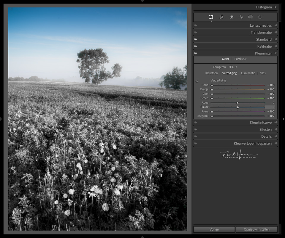 Nando LrC alleen blauw Nando LrC alleen blauw
