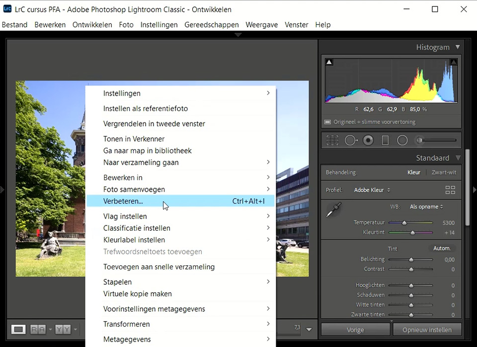 Lightroom superresolutie