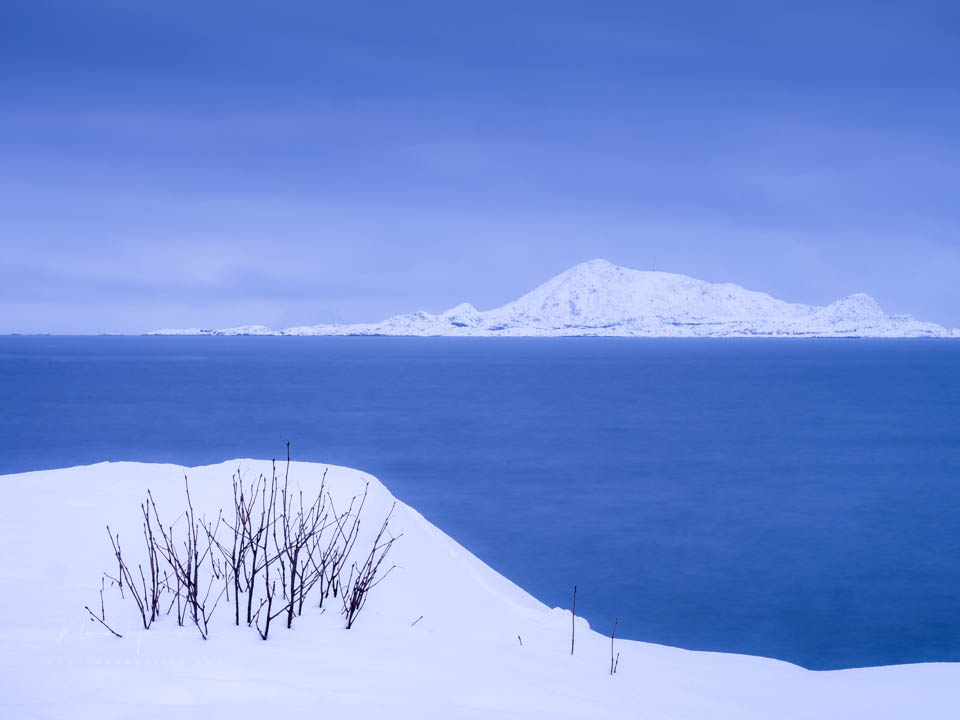 Nando Olympus live bulb 2