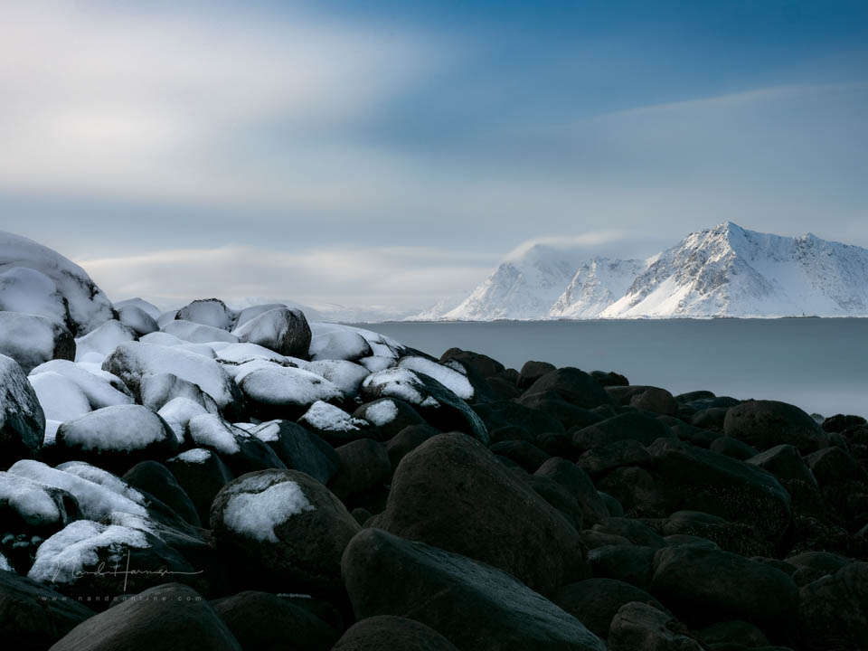 Nando Olympus live bulb