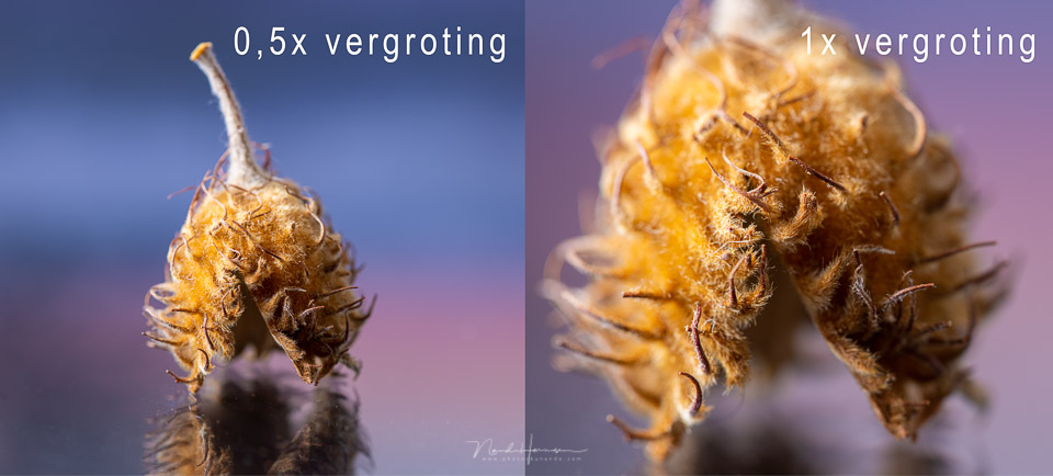 Nando RF85macro review vergrotingvergelijk Nando RF85macro review vergrotingvergelijk