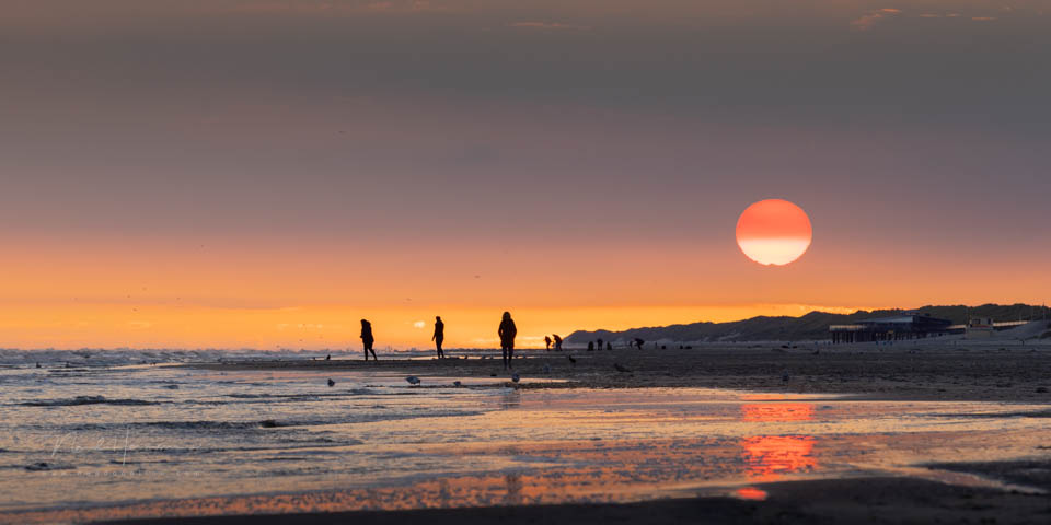 Nando ameland 2021 Nando ameland 2021