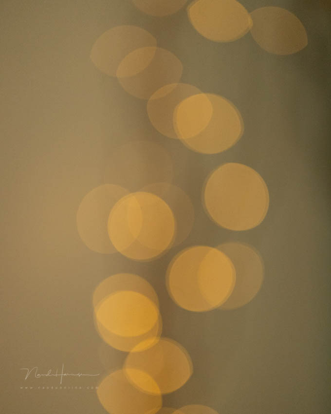 Nando bokeh en sluiter 2 Nando bokeh en sluiter 2