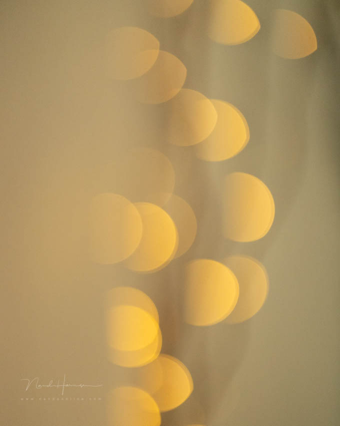 Nando bokeh en sluiter 3 Nando bokeh en sluiter 3