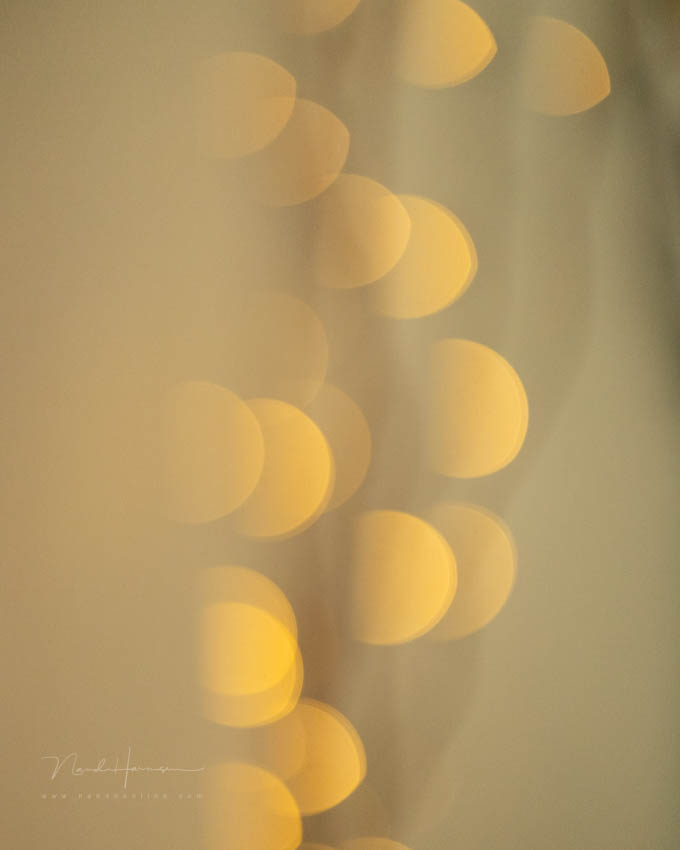 Nando bokeh en sluiter 4 Nando bokeh en sluiter 4