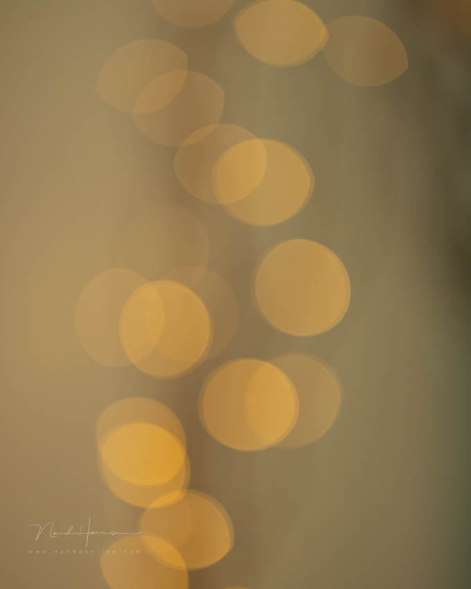 Nando bokeh en sluiter 5 Nando bokeh en sluiter 5