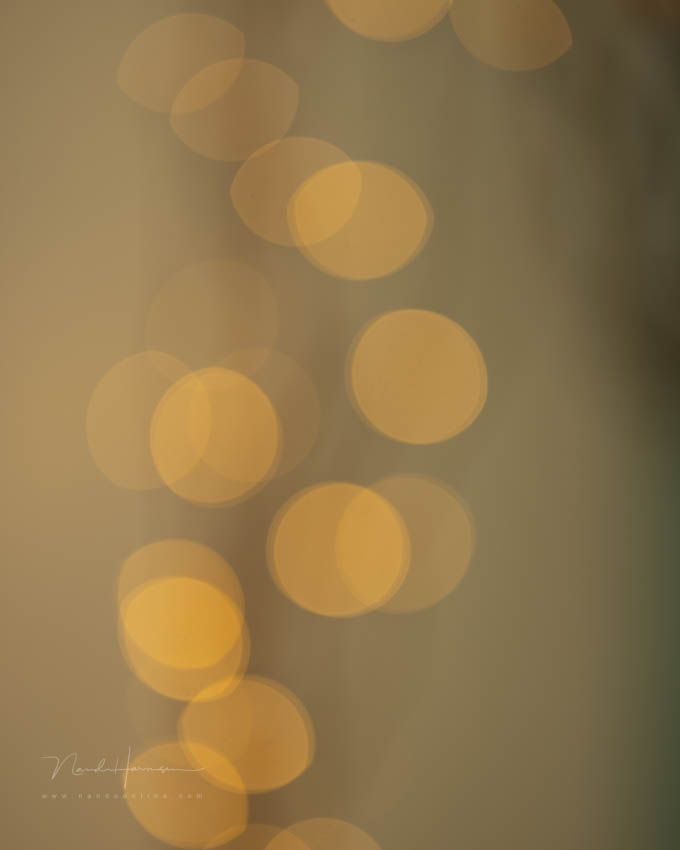 Nando bokeh en sluiter 6 Nando bokeh en sluiter 6