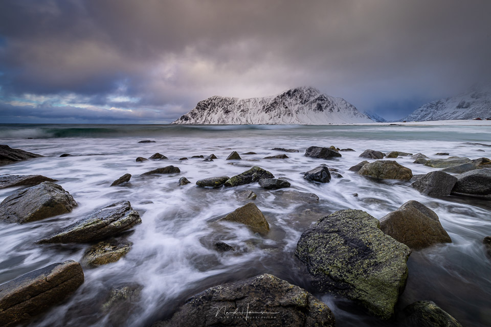 Nando branding lofoten 01