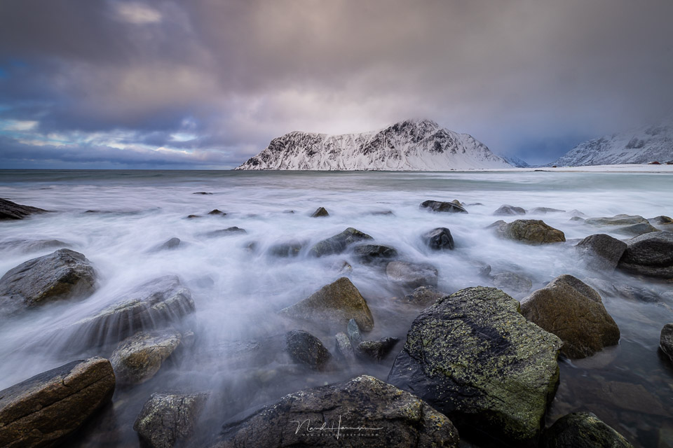 Nando branding lofoten 02