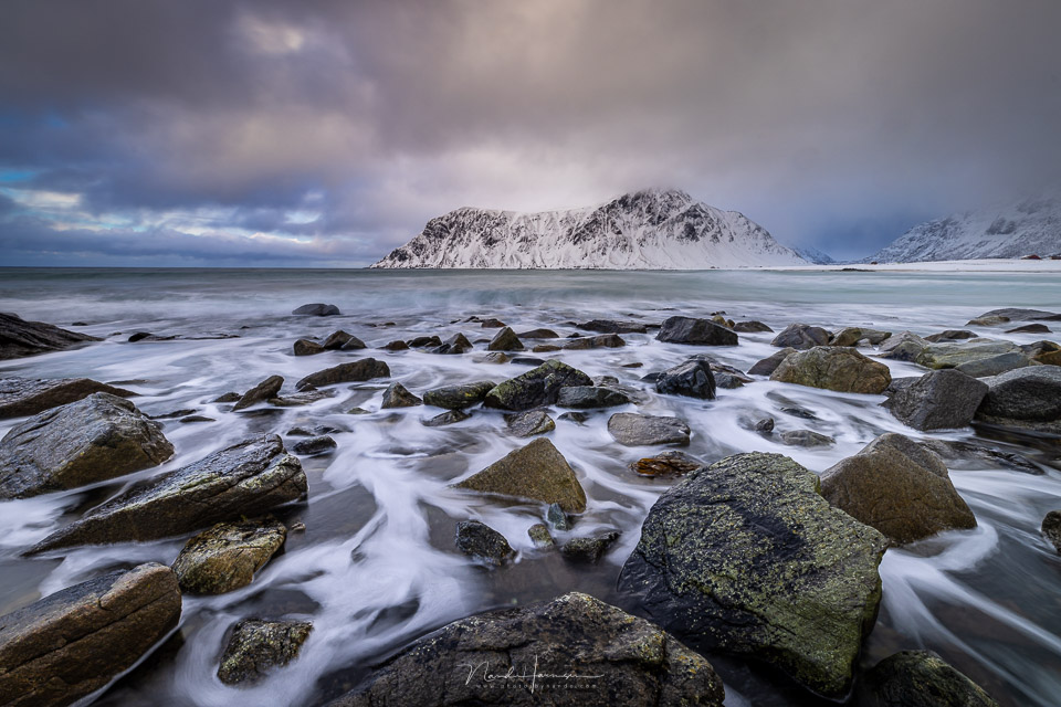 Nando branding lofoten 03