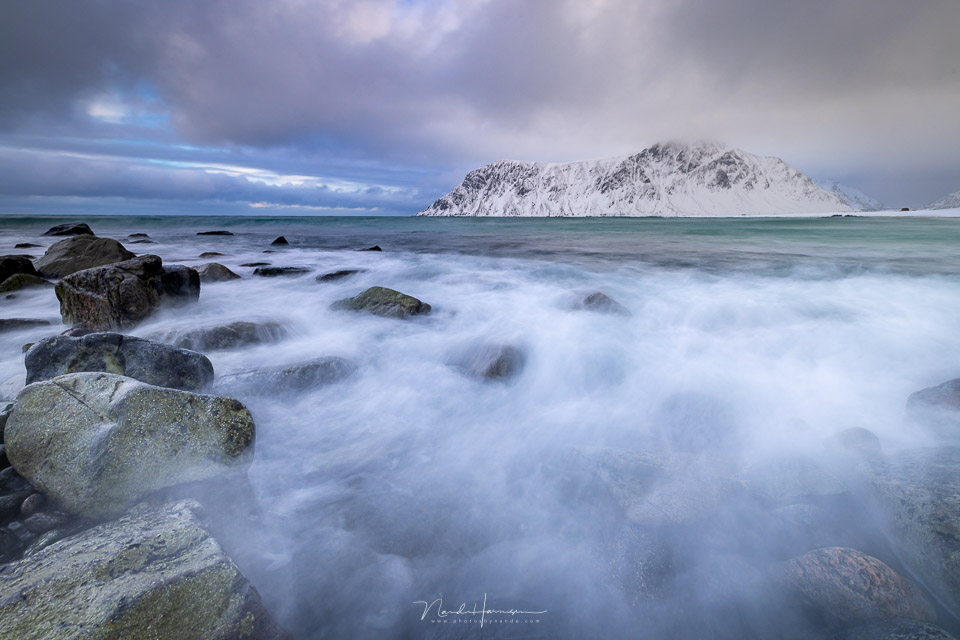 Nando branding lofoten 07