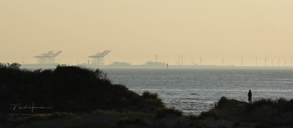 Nando cadzand met brugge Nando cadzand met brugge