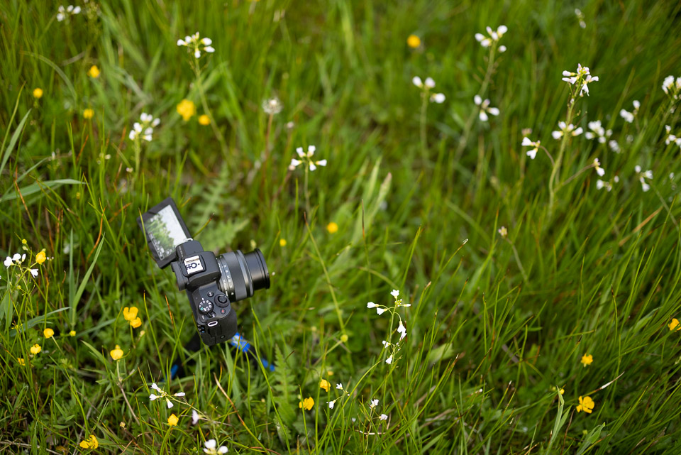 Nando camerakeuze contentcreator Nando camerakeuze contentcreator