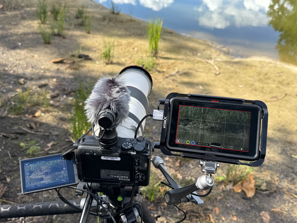 Nando canon eos r50v 2
