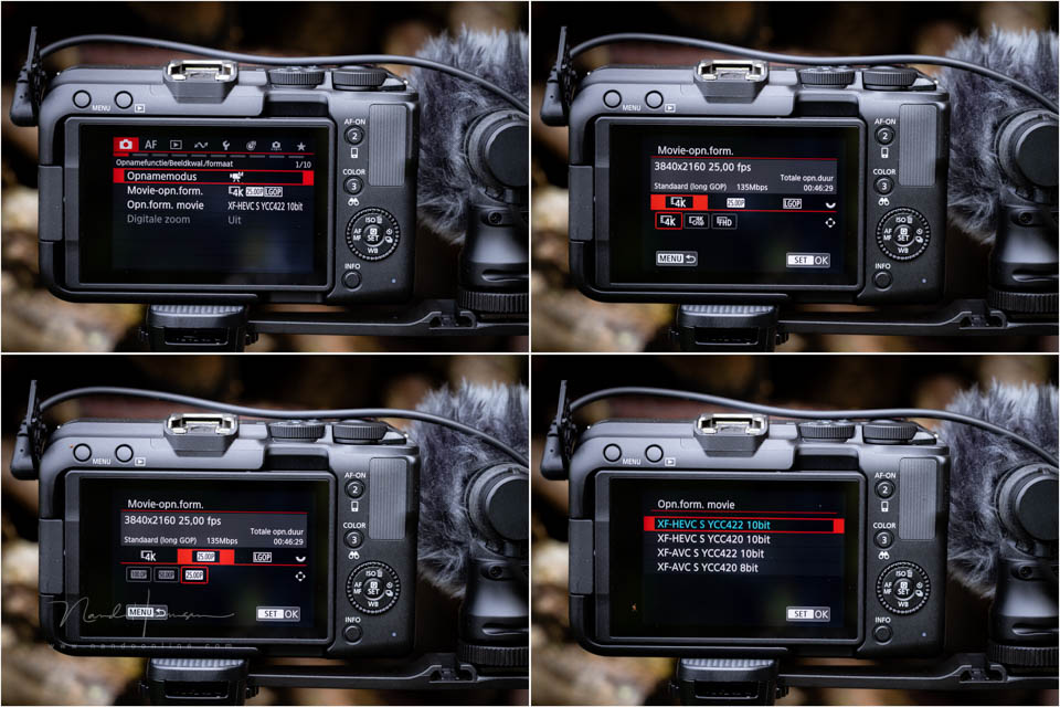 Nando canon eos r50v 21