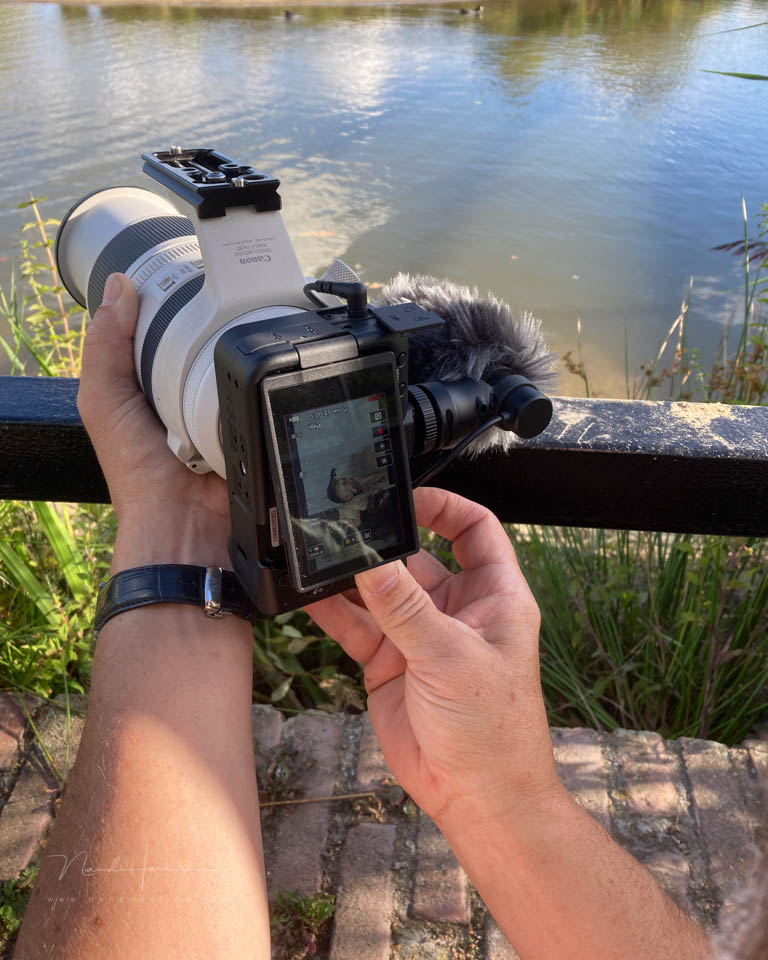 Nando canon eos r50v