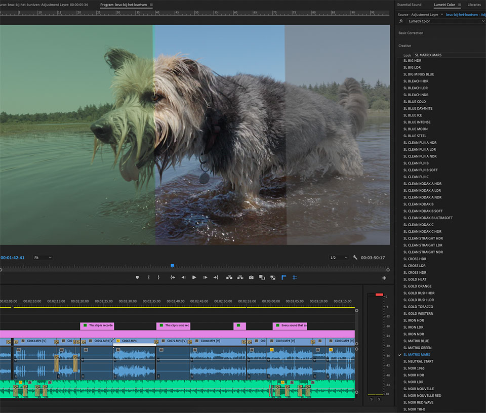 Nando color grading luts Nando color grading luts