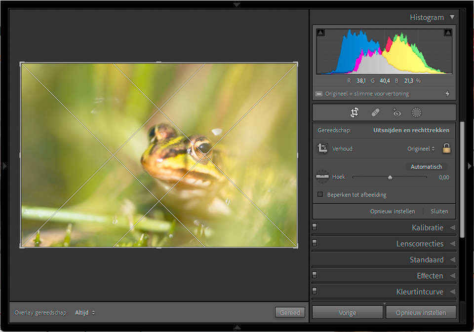 Nando crop tool diagonal Nando crop tool diagonal