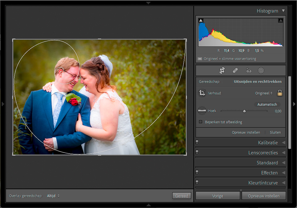 Nando crop tool fibonacci Nando crop tool fibonacci
