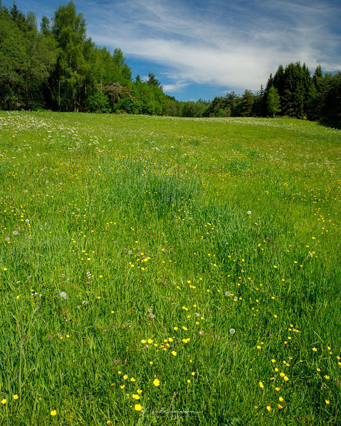 Nando dof landschap 2 Nando dof landschap 2