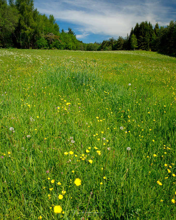 Nando dof landschap 3 Nando dof landschap 3