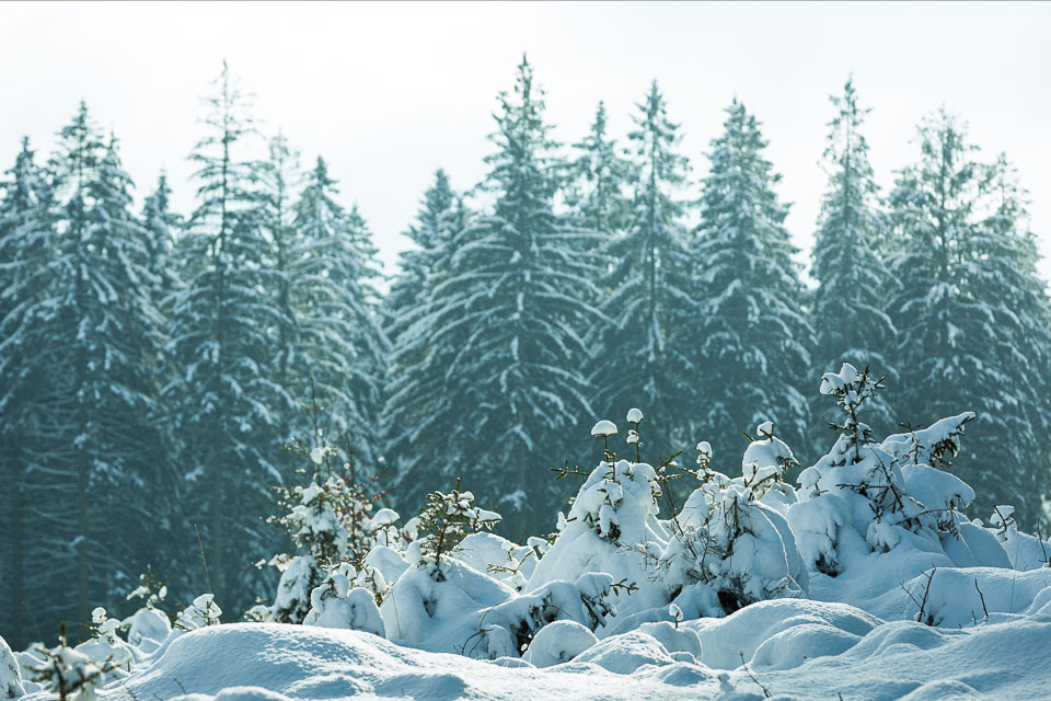 Nando dof landschap 6 Nando dof landschap 6