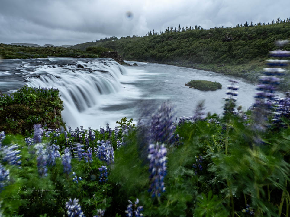 Nando druppels lens Nando druppels lens
