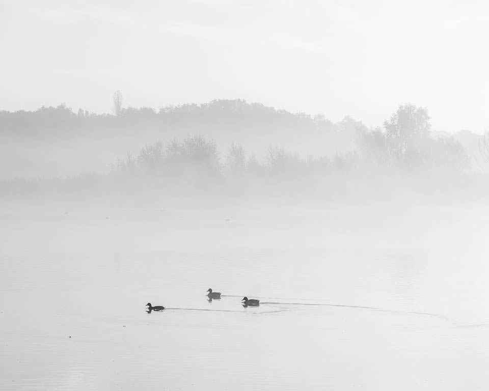 Nando eenden in de mist