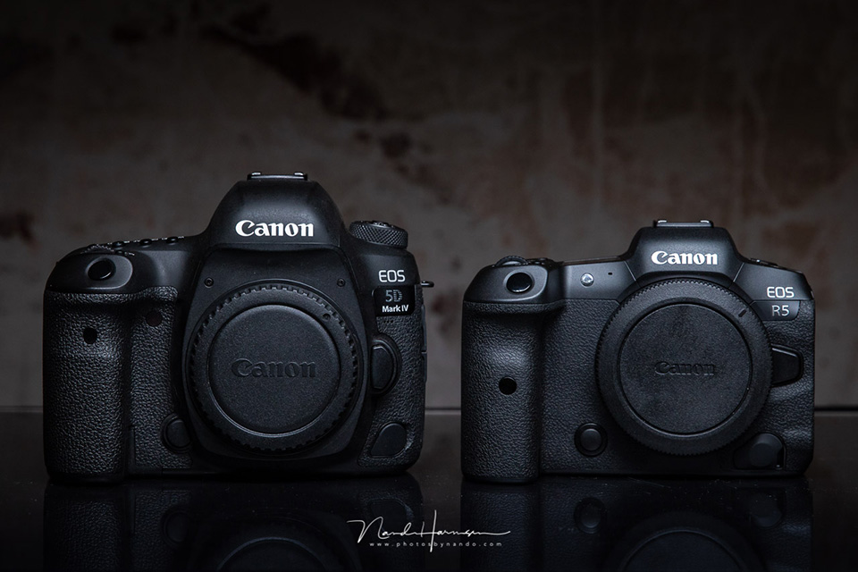 Nando eos r5 compare 5d4 01