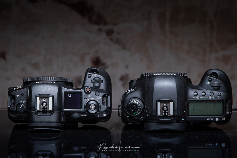 Nando eos r5 compare 5d4 06 Nando eos r5 compare 5d4 06