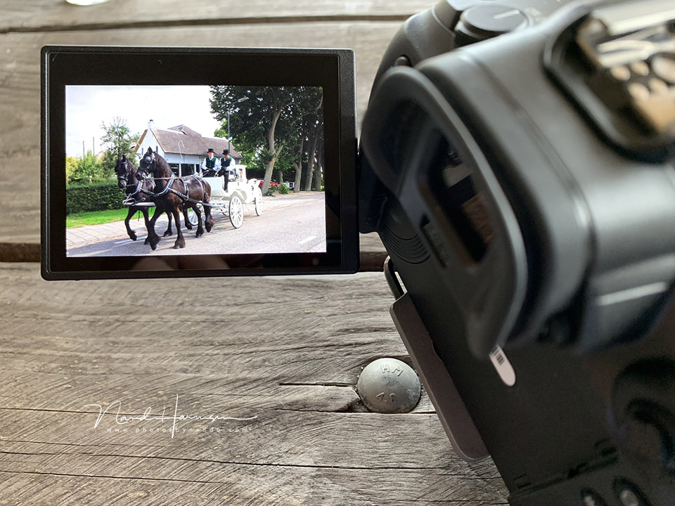 Nando eos r5 in gebruik.jpeg Nando eos r5 in gebruik.jpeg
