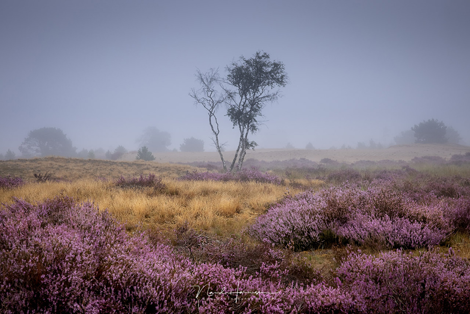 Nando eos r5 landscape 03 Nando eos r5 landscape 03