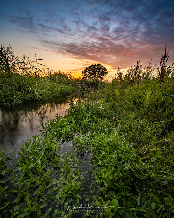 Nando eos r5 landscape 06 Nando eos r5 landscape 06