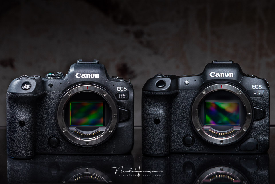 Canon EOS R5 versus EOS R6