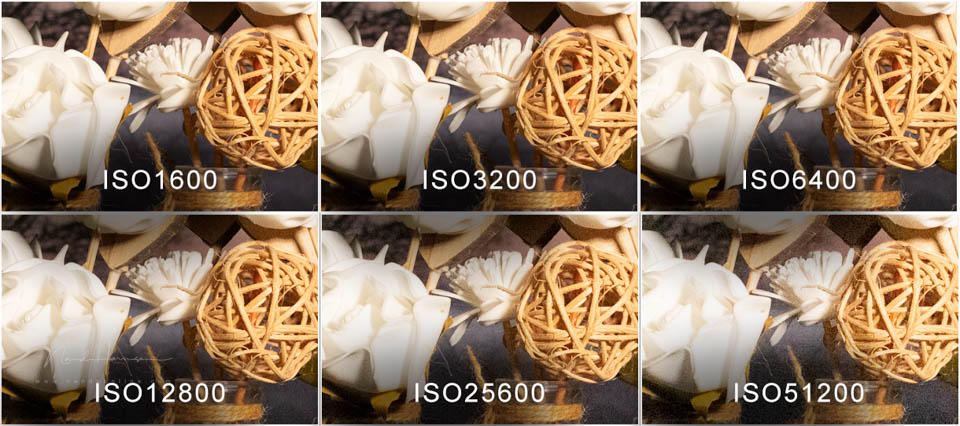 Nando eos r6mk3 review 11