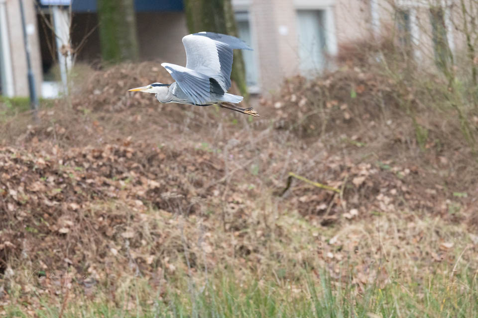 Nando eos r6mk3 review 13