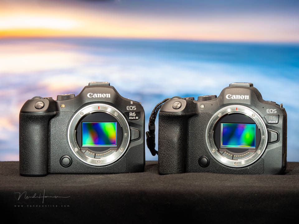 Nando eos r6mk3 review