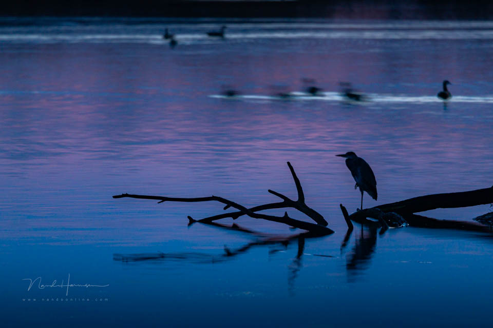 Nando eos r6mk3 voorbeeld 5