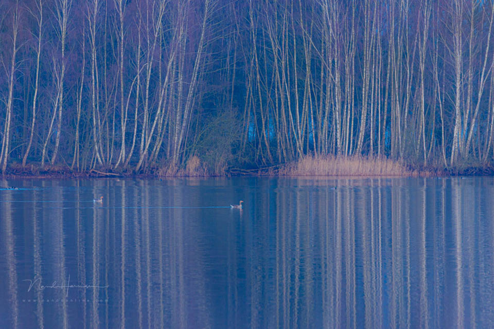 Nando eos r6mk3 voorbeeld 7