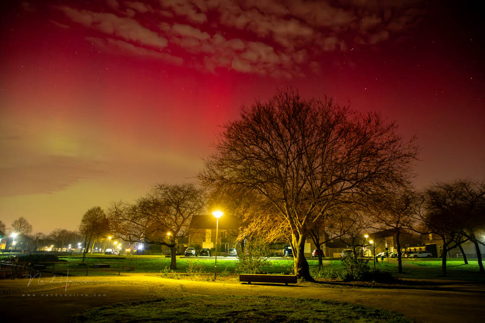 Nando eos r6mk3 voorbeeld 8