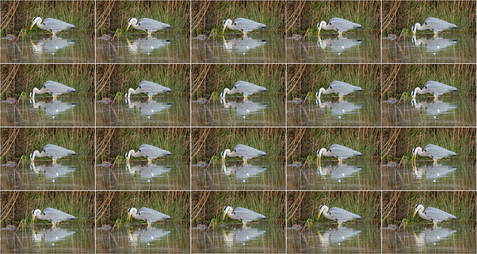 Nando eos r6mk3 voorbeeld 9