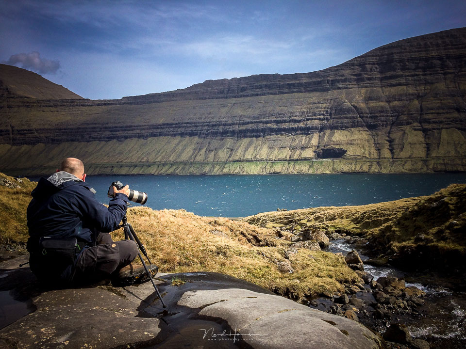 Nando fotografie in het veld