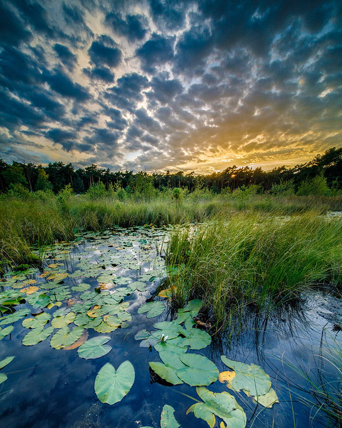 Een HDR opname waarin een belichtingtrapje is gebruikt om het hele dynamische bereik van deze zonsopkomst vast te leggen. Zonder HDR was dit niet gelukt.