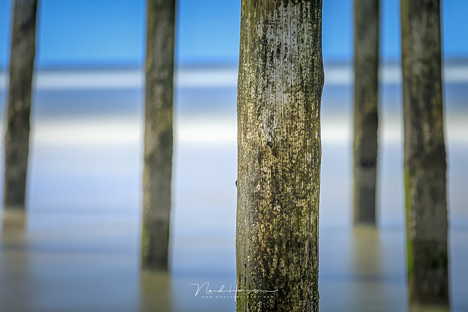 Nando haida ND6 shallow dof 2 Nando haida ND6 shallow dof 2