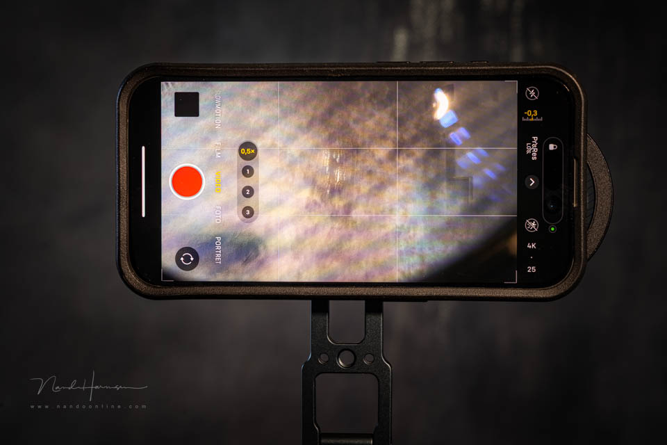 Nando haida blue stripe